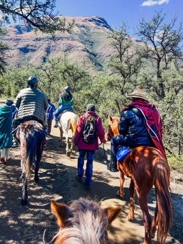 BEC73FB0-4A36-498B-A994-A22BD8A5F59C_4_5005_c