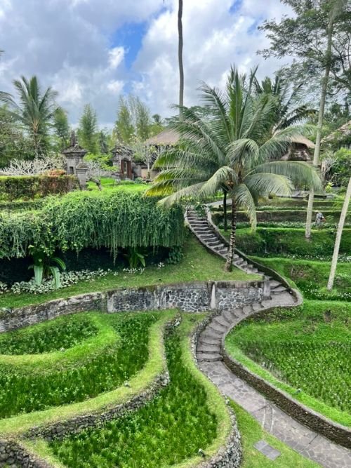 LA TIARA WANDERERS Indonesia Images (6)