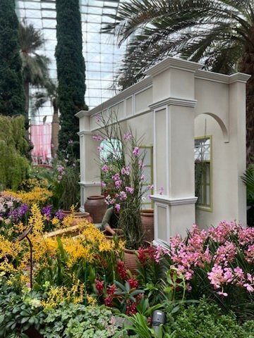 LA TIARA WANDERERS Malaysia Images (18)