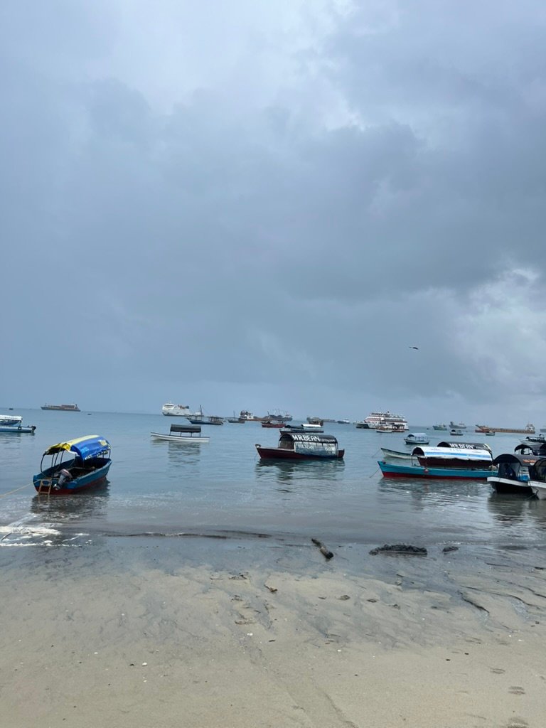 LA TIARA WANDERERS Zanzibar Images (24)